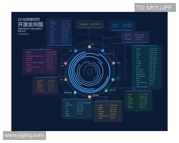 南京排球队的运营体系与战术创新探索之路